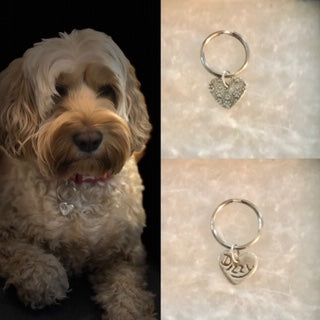 Pet's Name tag